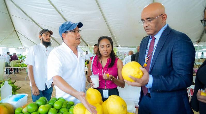 US.5B in private sector investments needed – Guyana Chronicle